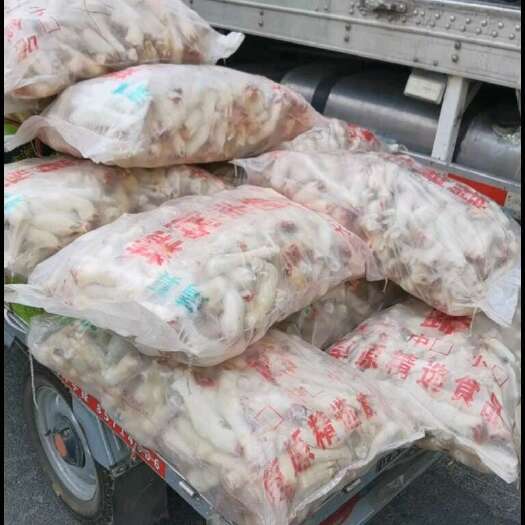 济南羊蹄袋装