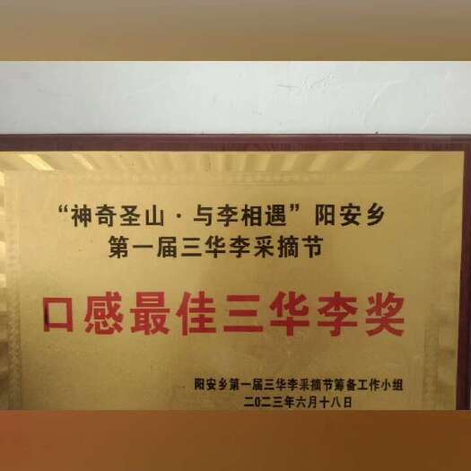 平乐县精品三华李