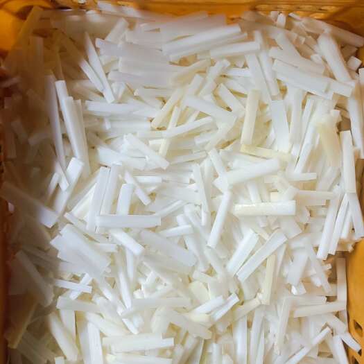 英德市麻竹笋新笋出土了，老板们可以下单订货了