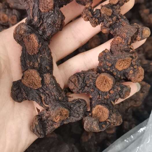 连平县姜形黄精 九蒸九晒黄精 干黄精 制黄精
