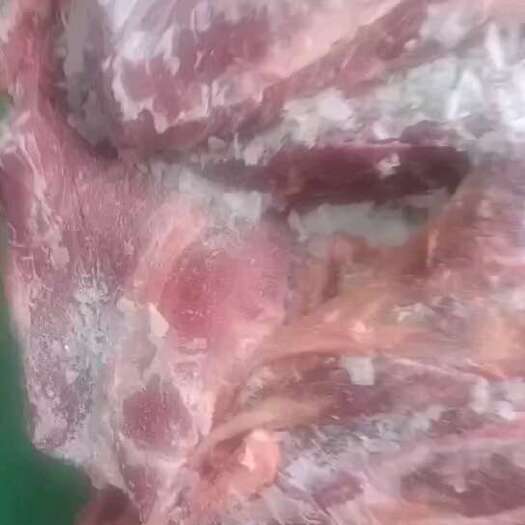 东莞市牛肉，牛腩