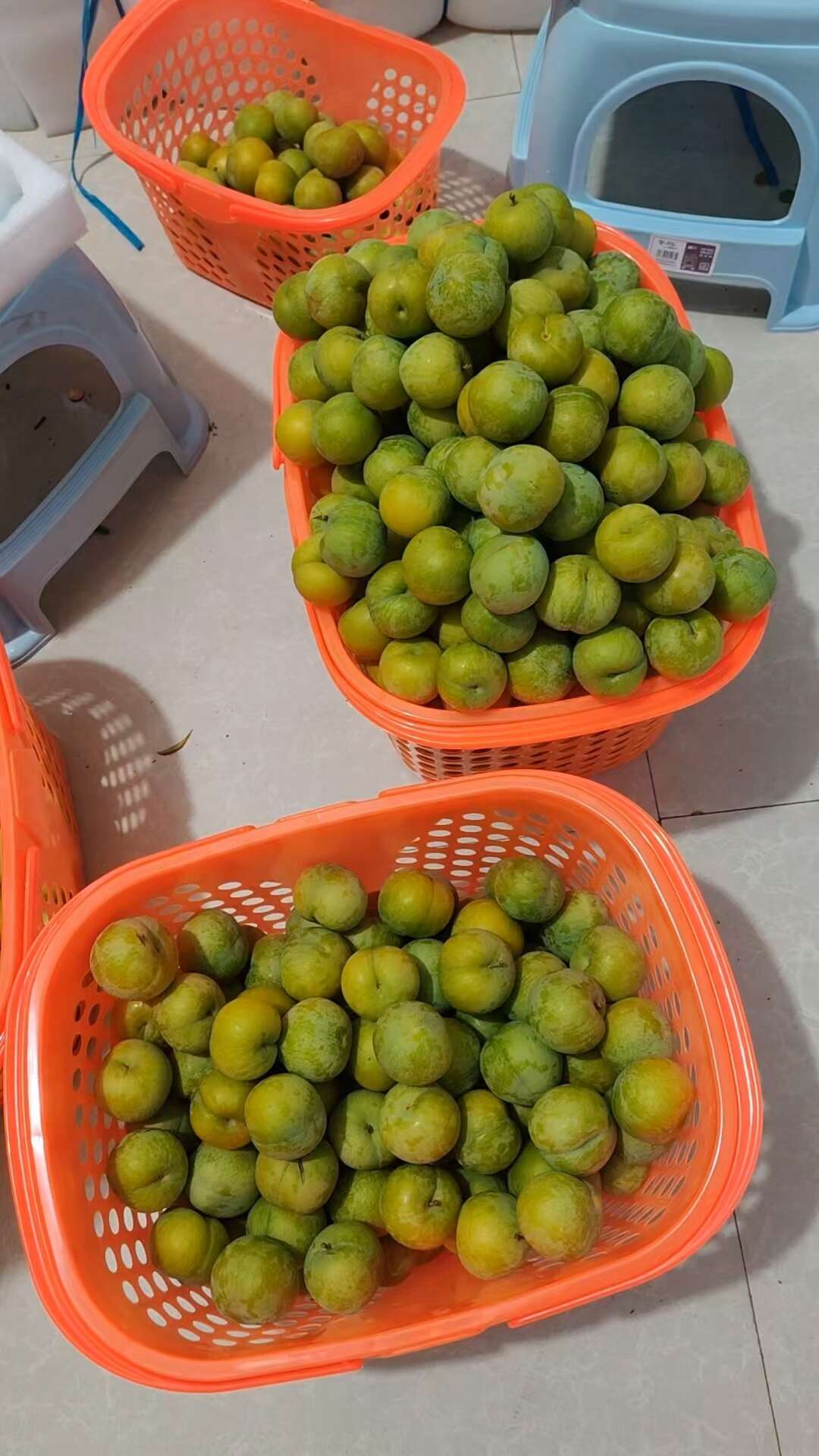 当天菜当天发，口感好，品质好，货品鲜鲜