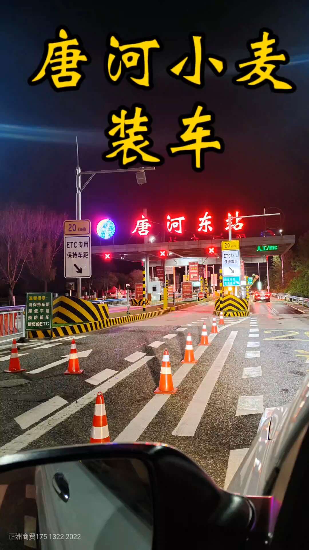 优质高筋小麦，自己种植的。