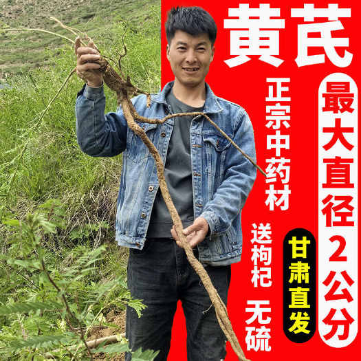 岷县黄芪甘肃岷县原产地中药材批发零售
