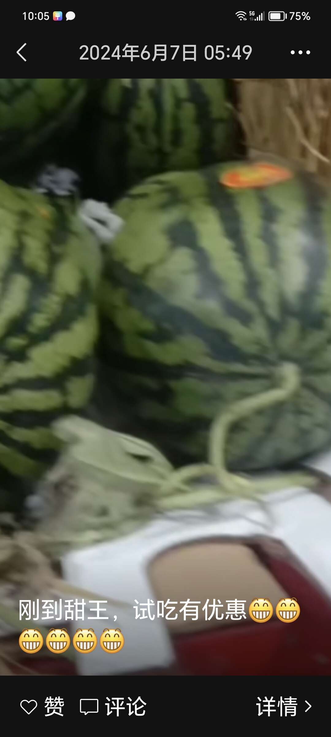 绿裳西瓜大量供应
