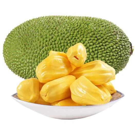 德江县菠萝蜜