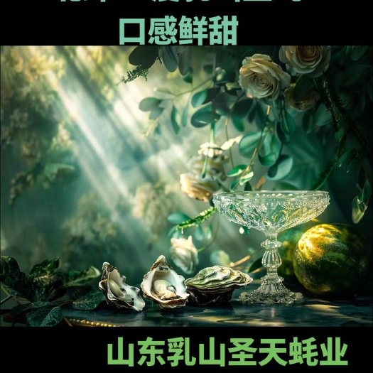 乳山市山东生蚝 乳山生蚝 可以生吃的牡蛎