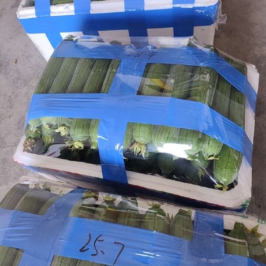宜兴市油皮香丝瓜