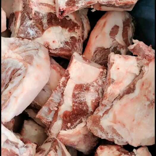 河间市满肉羔羊胸排！