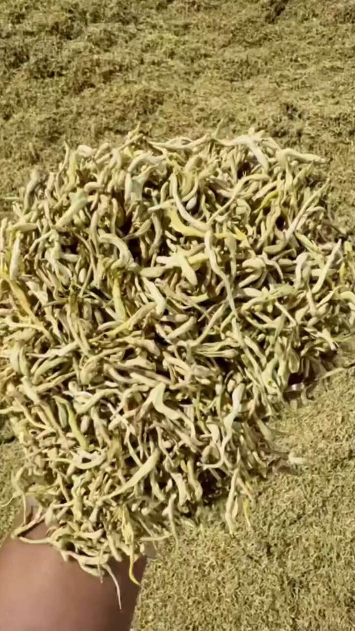 金银花 二花 500g  大 中 小 各种规格 无硫选货 新
