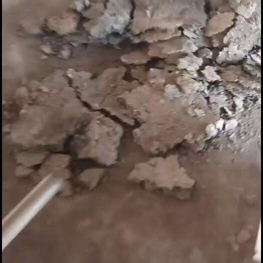 开平市纯鸡粪