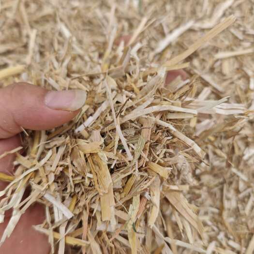 新野县小麦秸秆二次粉碎大量供应