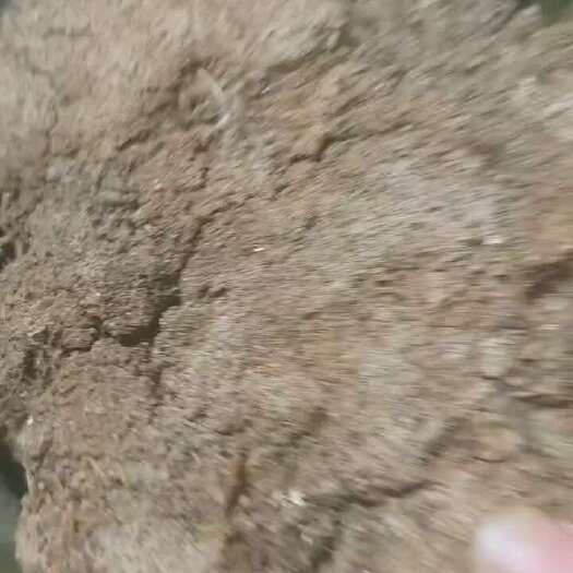开平市谷壳鸡粪
