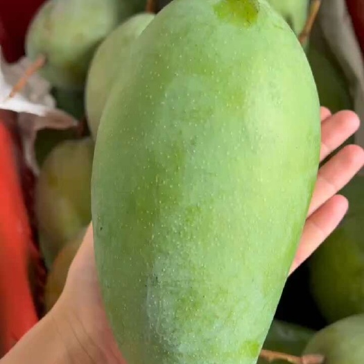 元江县新鲜到家，肉肥清甜大青芒