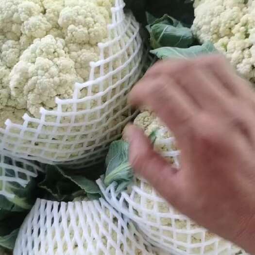 许昌花菜出库