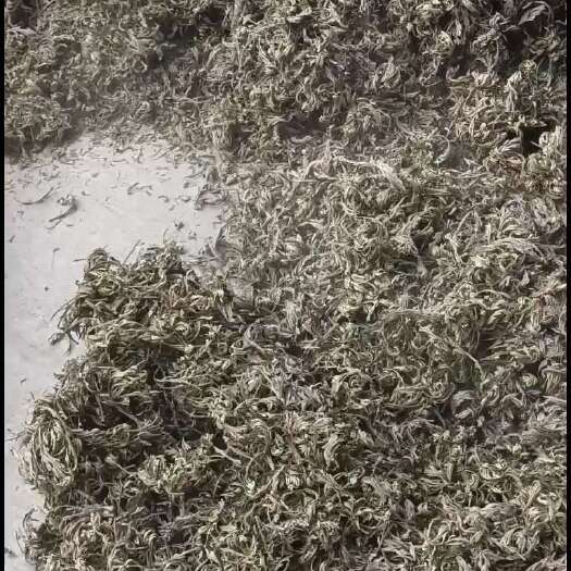 汉源县大还魂