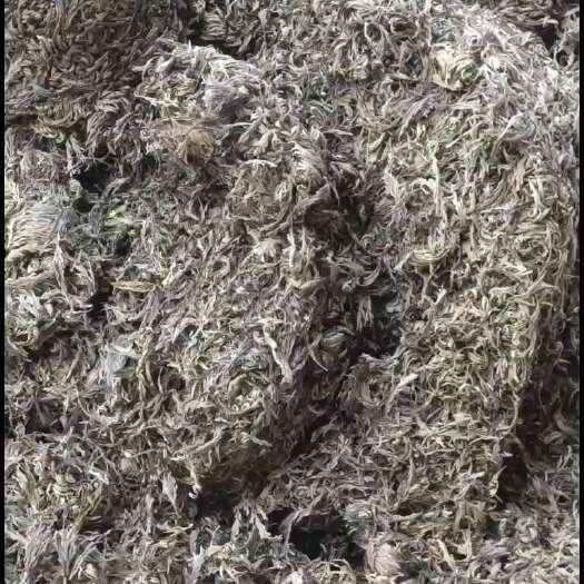 汉源县大还魂