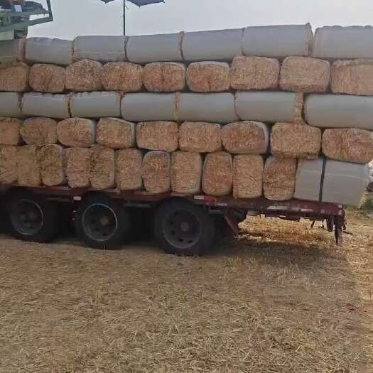 唐河县精品柔丝除尘风选小麦秸秆一手货源