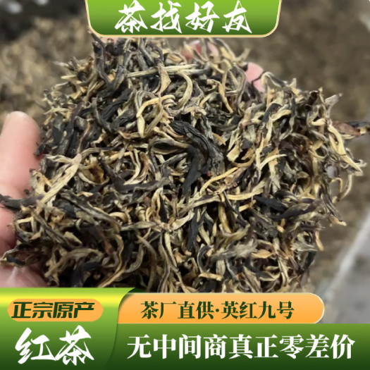 英德红茶正品红茶英红九号核心产区厂家直营大量批发闪电极速发货