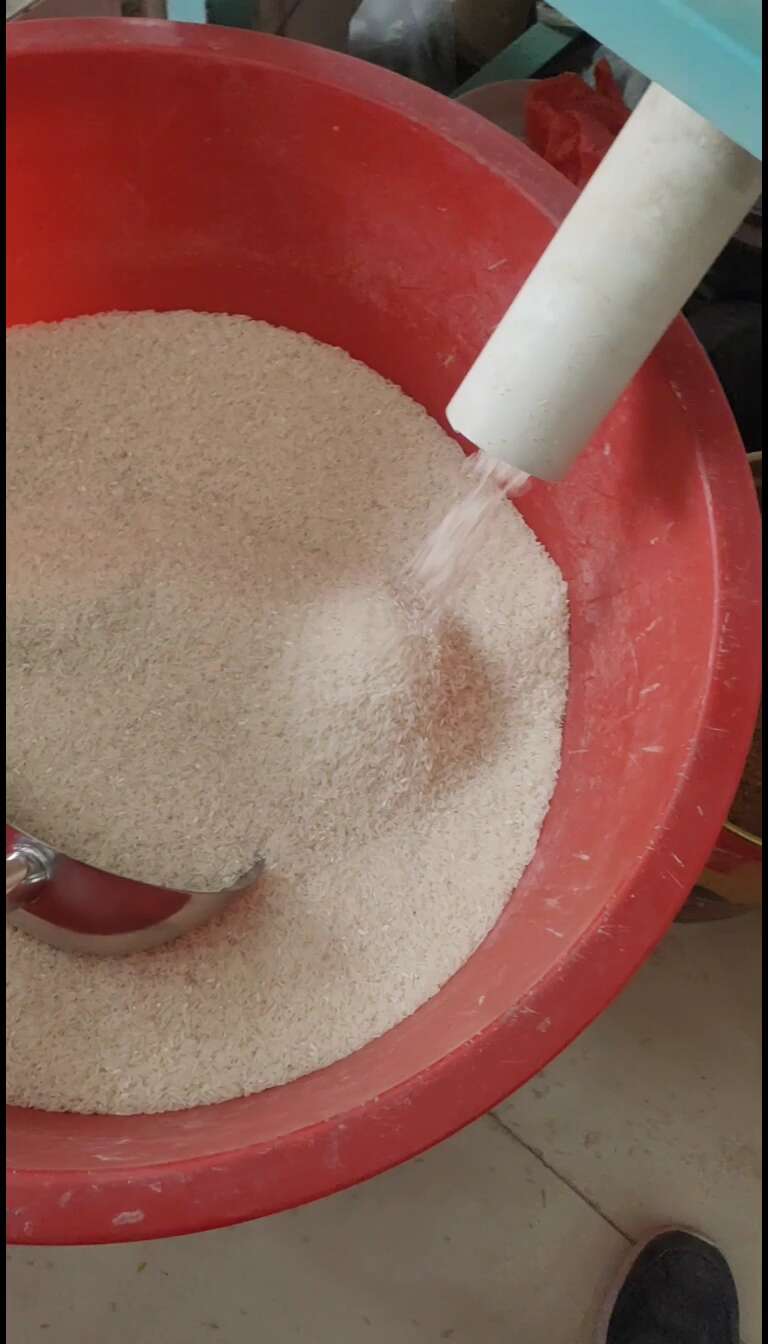 23年晚稻野香优油丝稻谷出米60以上