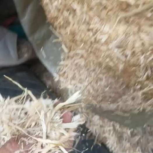 郯城县小麦秸秆