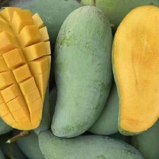 盐边县攀枝花一级金煌芒果，无纤维，汁多肉厚，产地直销，品质保证