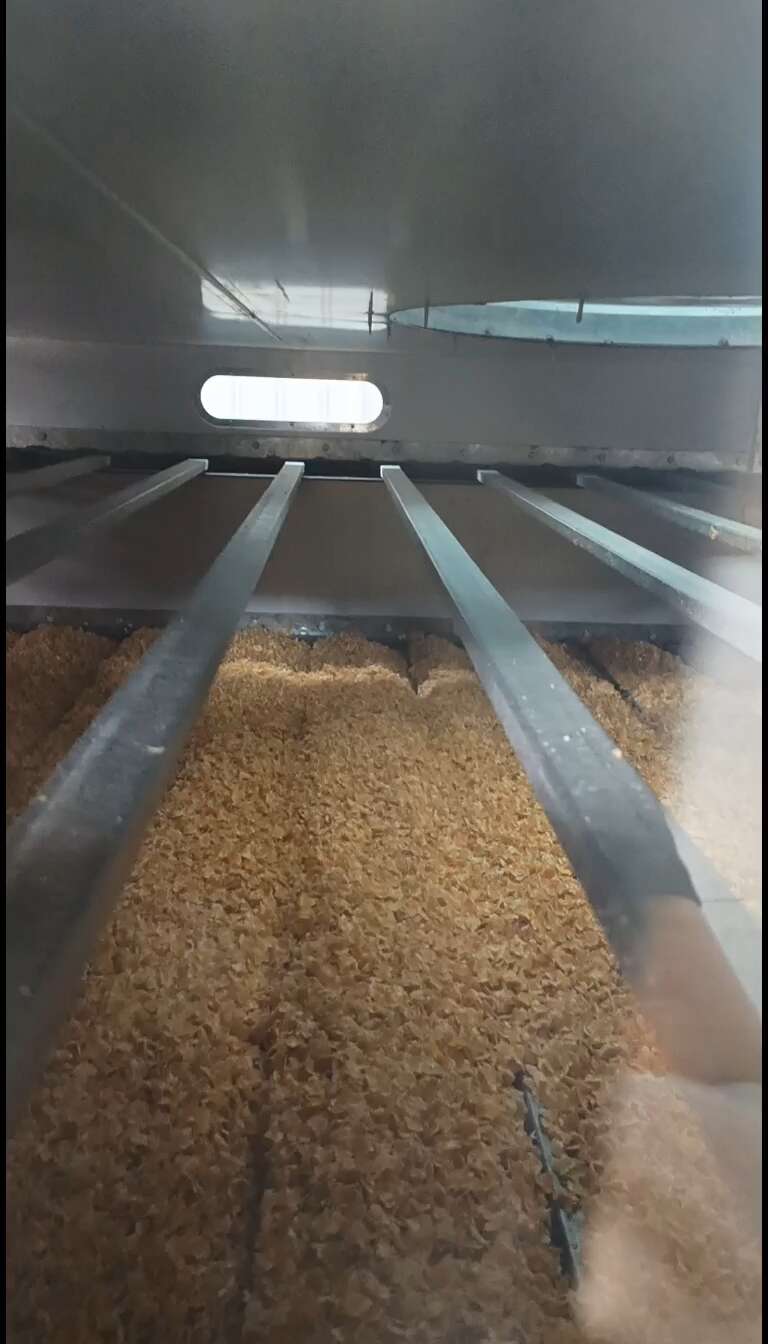压片玉米