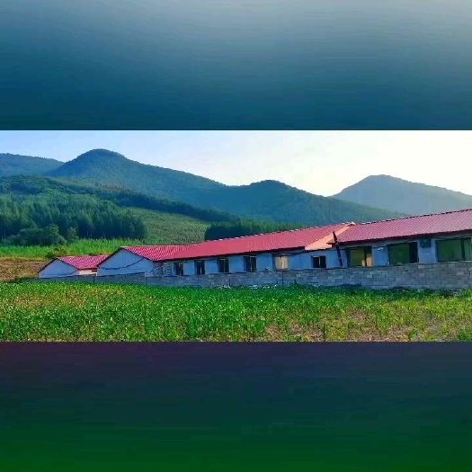 畜牧养殖用地