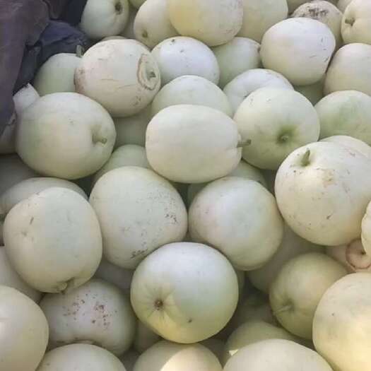 鄢陵县个体均匀，熟度到位，量大