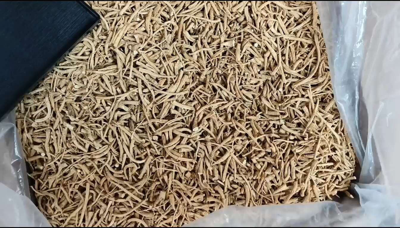 加拿大西洋参须参丁 粗须小节打粉料