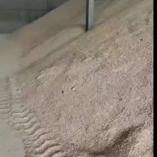 小麦麦漏