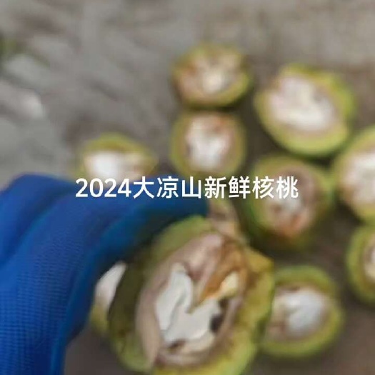 冕宁县2024年大凉山鲜核桃