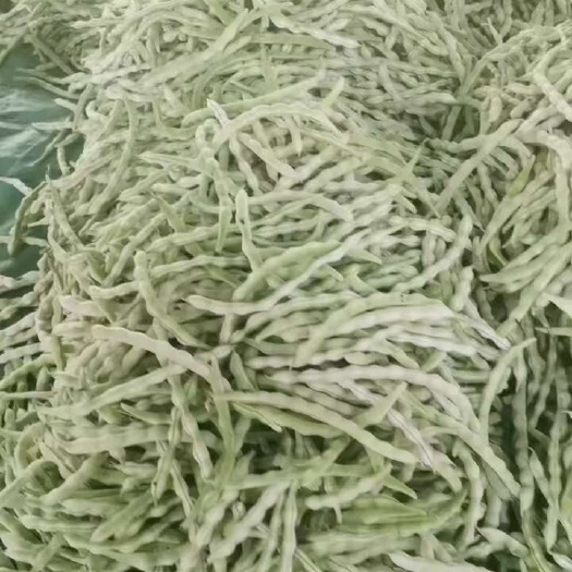 沂水县芸豆豆角，白不老大量上市，产地一手货源。