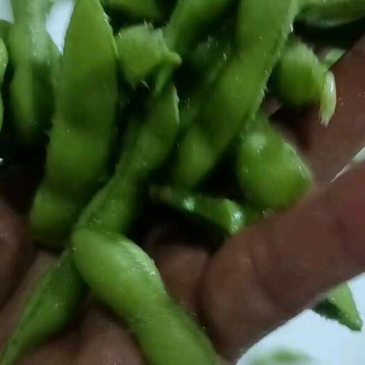枣庄毛豆