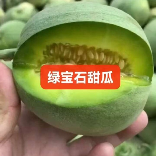 枝江市绿宝甜瓜/梨瓜香瓜/丑八怪甜瓜/产地対接社区团购电商供应链