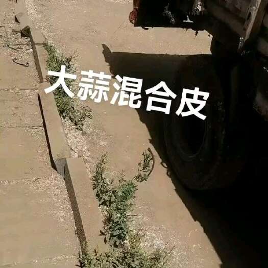 金乡县大蒜混合皮