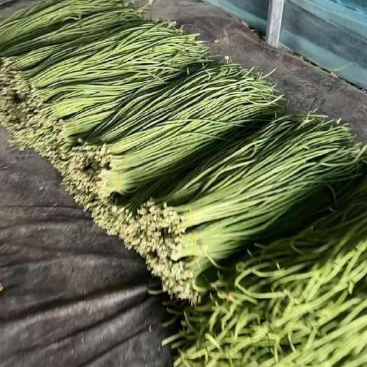 宿州青豆角