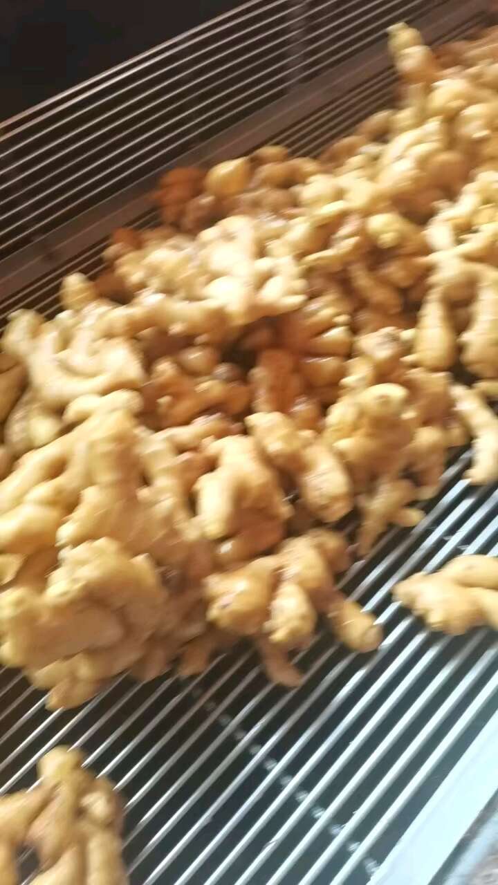 山東姜種價格，紅芽二姜批發(fā)，山東小黃姜，姜巴