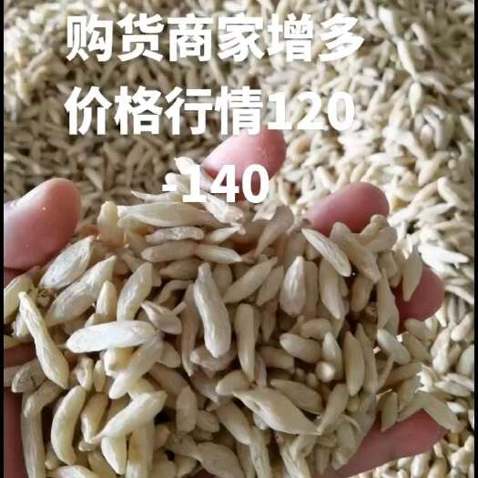 三台县2024四川涪城麦冬超大川麦冬品质，滋补享誉天下。过色选货