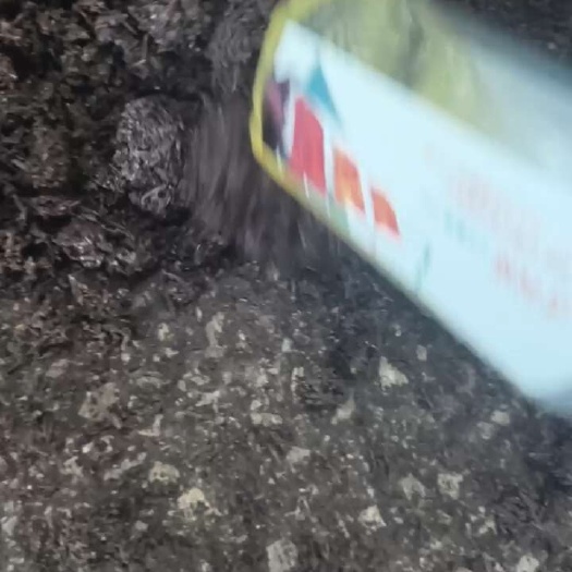 仁怀市茅台镇酱香白酒糟