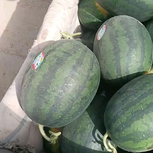 蒲城县大量供应陕西精品西瓜