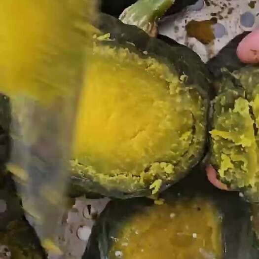 昌乐县贝贝南瓜