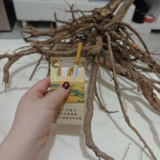 德阳7年牡丹根大量出售
