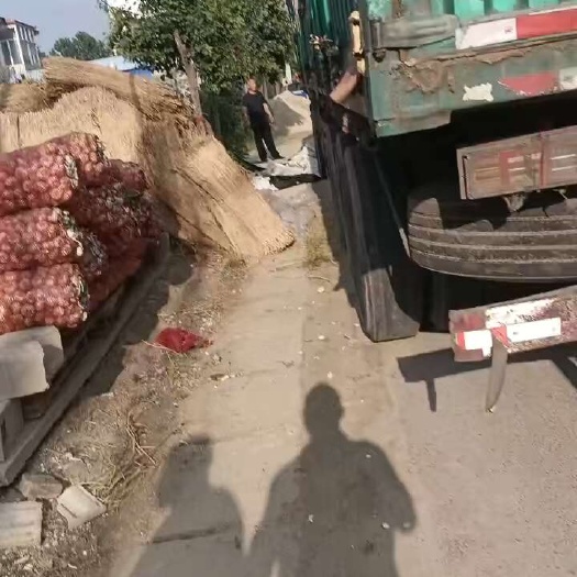 丰县精品蒜米料，精品印尼料已过筛，质量三无！