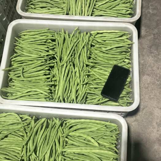 山西应县小金豆：白无丝丶白不老，条形好：一手货源产地发货