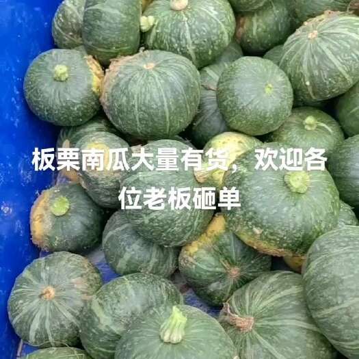 新野县板栗南瓜大量有货，欢迎各位老板砸单