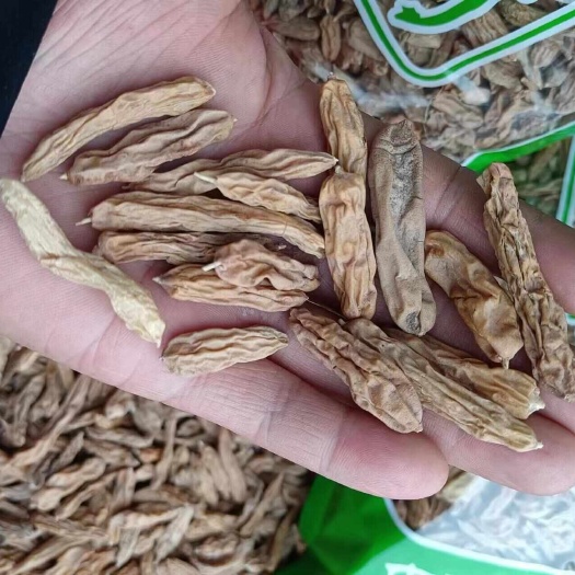 四川阔叶麦冬,水果麦冬,自然生嗮,年分久药效足,成色好