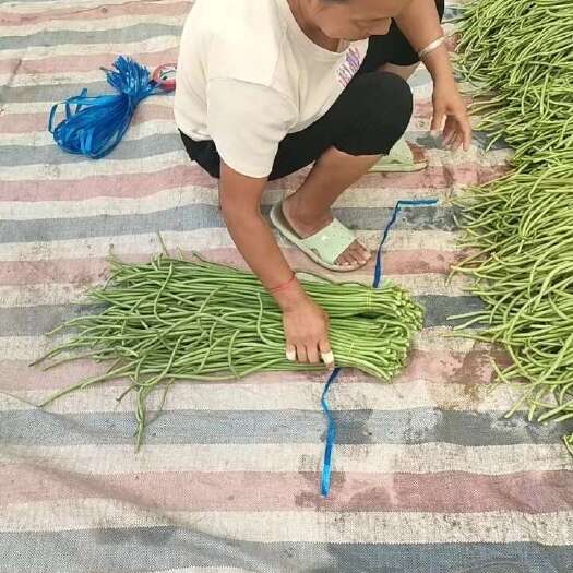 开封长豆角，豇豆