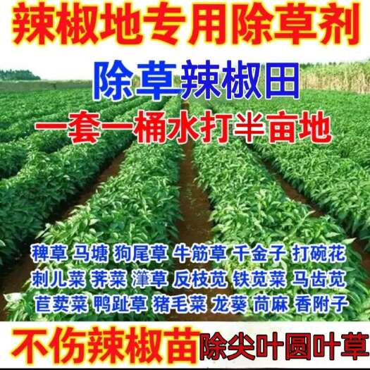 郑州辣椒苗后除草剂砜嘧磺隆烟草除草剂高效氟吡甲禾灵西红柿除草剂