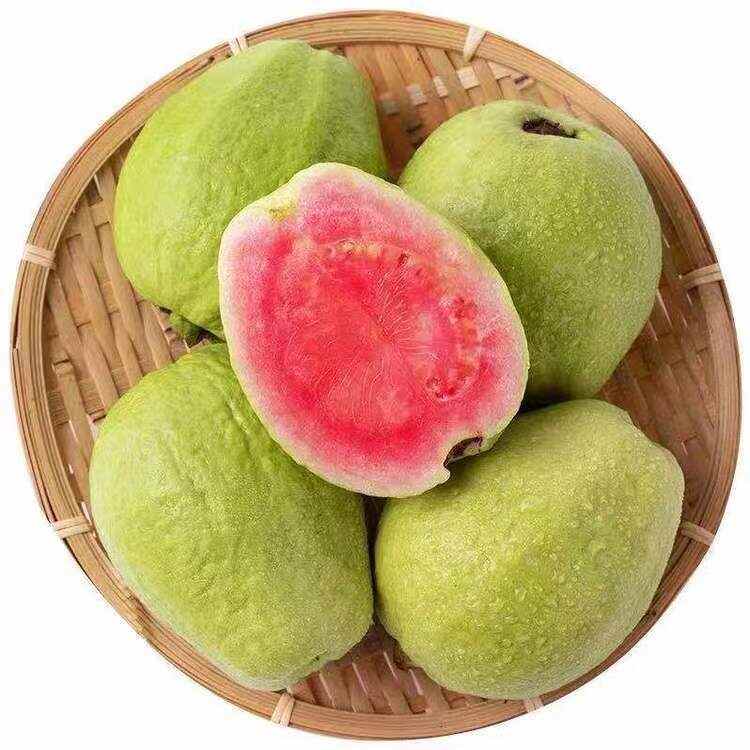 田園芭樂(lè)